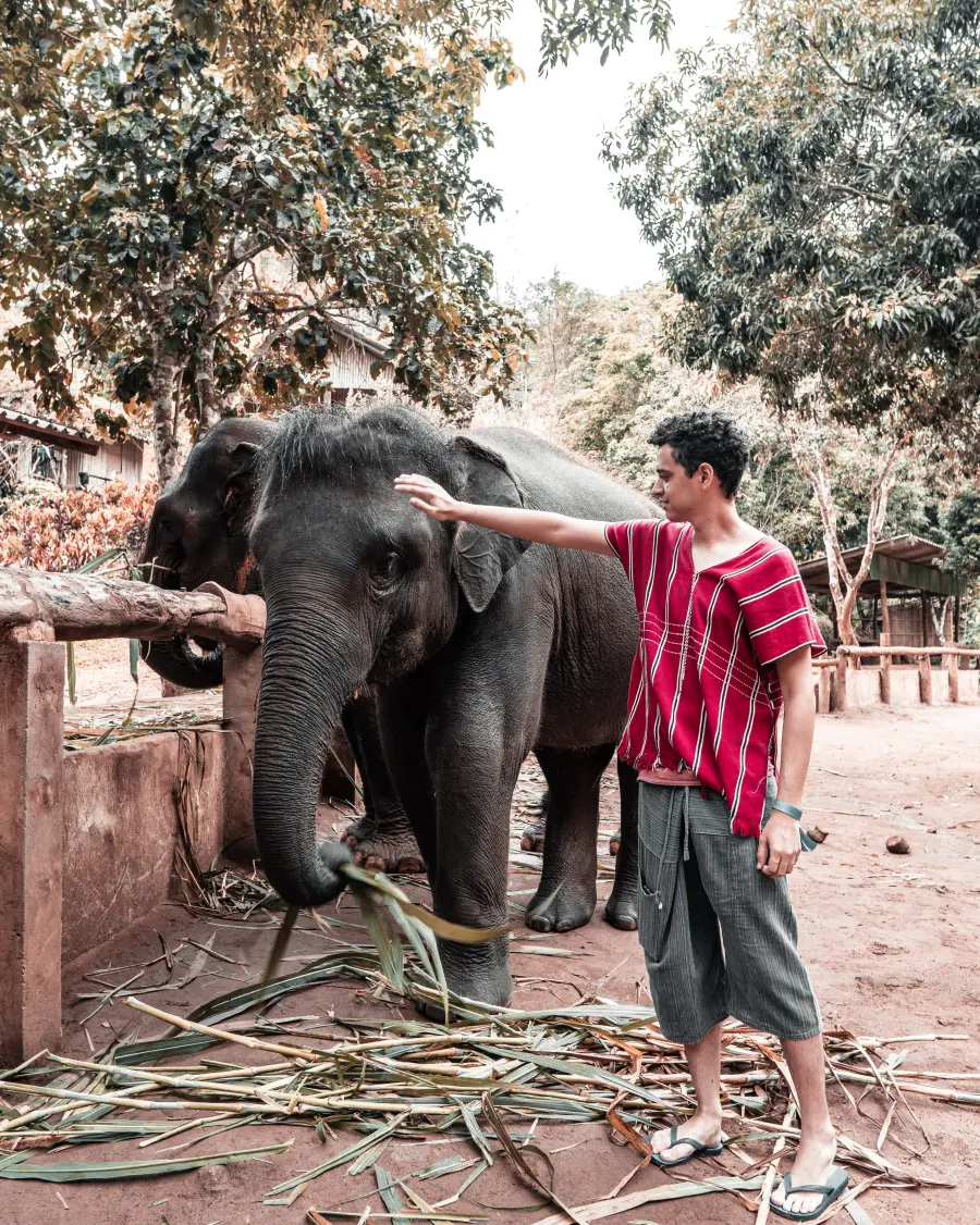 Gabriel acariciando um elefante na Tailândia
